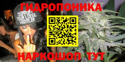 мдпв Коммунар