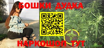 сатива Конаково