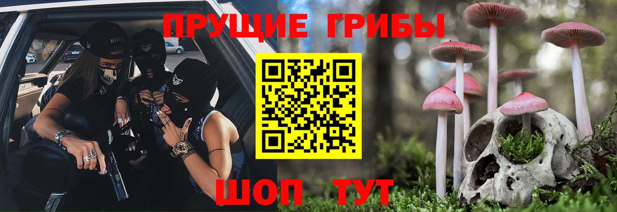 Галлюциногенные грибы Magic Shrooms Кимовск